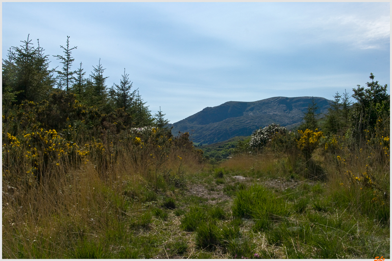 Ring of Beara - Adrigole  800_IGP2883