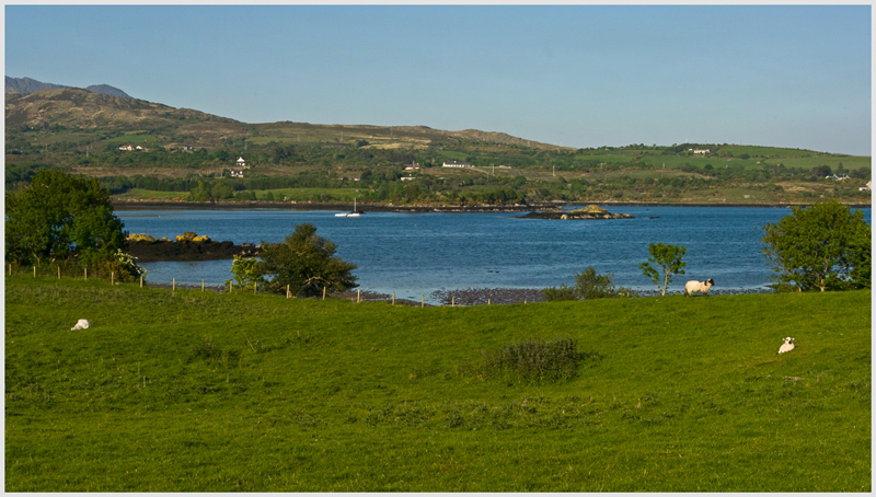 Ring of Beara - Adrigole  800_IGP2905