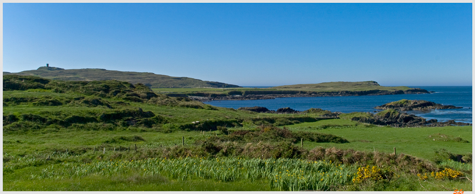 Ring of Beara - Black Ball Head  800_IGP2920