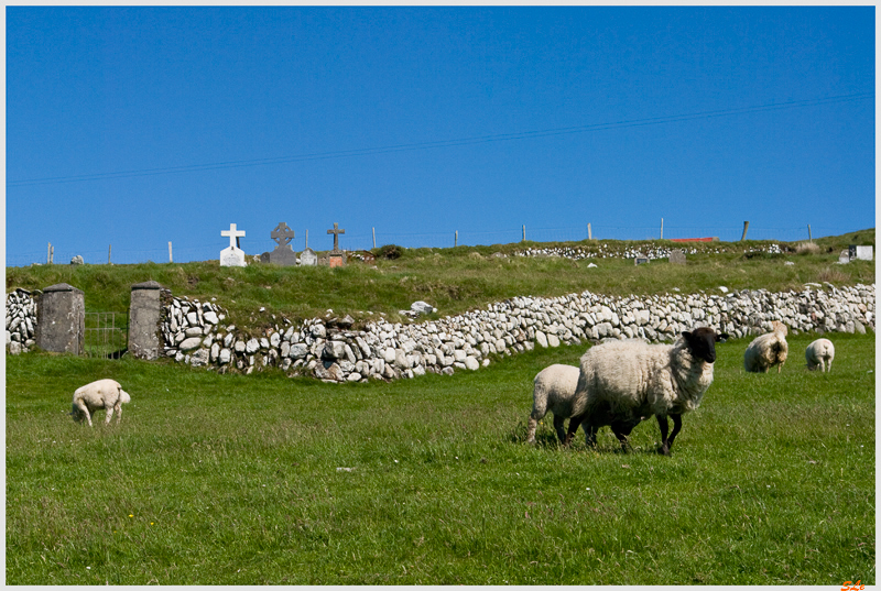 Ring of Beara - Firkeel  800_IGP2931