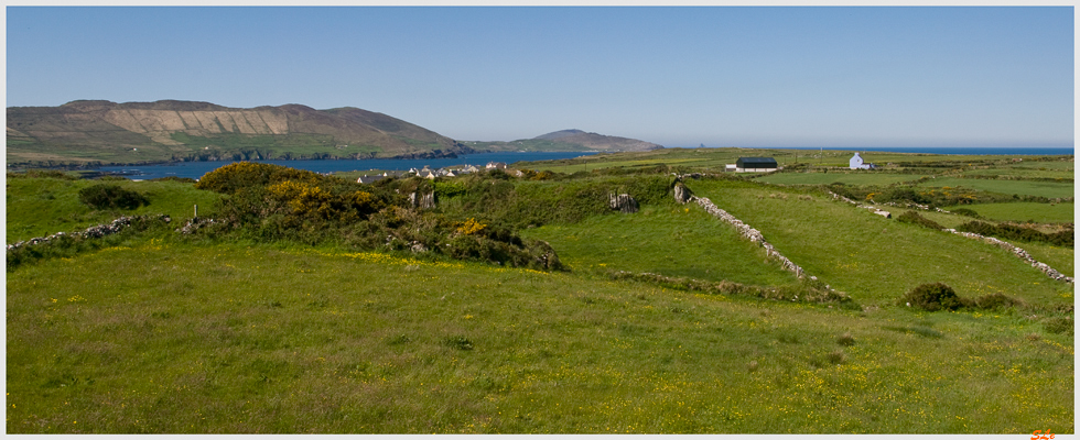 Ring of Beara - Eyerries  800_IGP2939