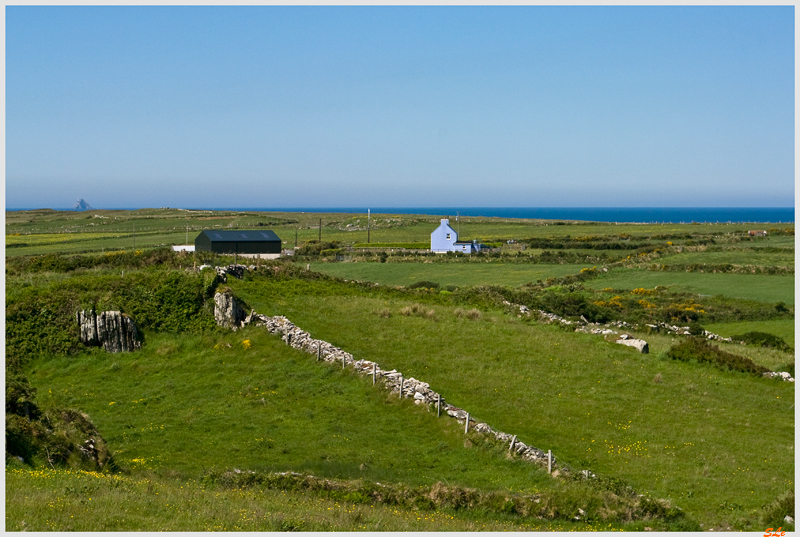 Ring of Beara - Eyerries  800_IGP2941