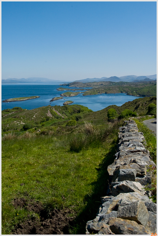 Ring of Beara - Kilmakilloge Harbour  800_IGP2949