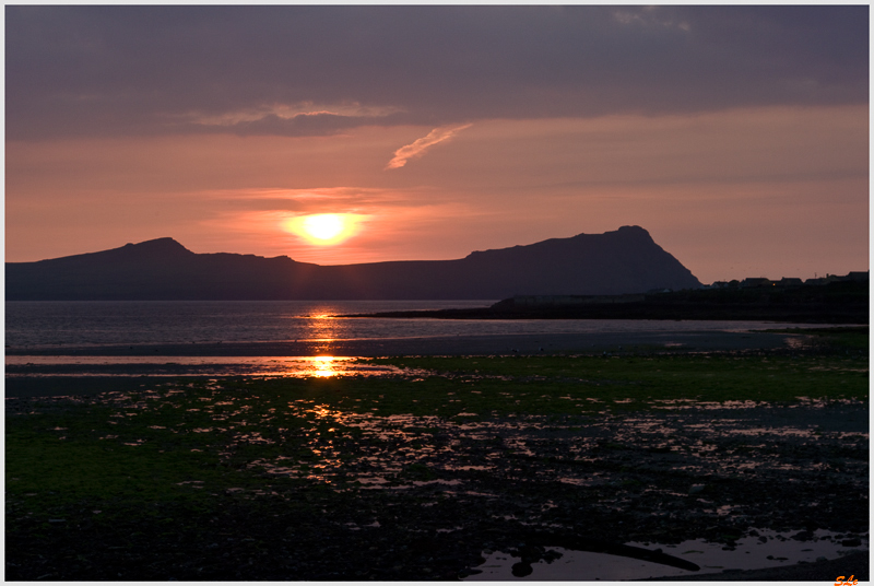 Co Kerry - Dingle Peninsula  800_IGP3044