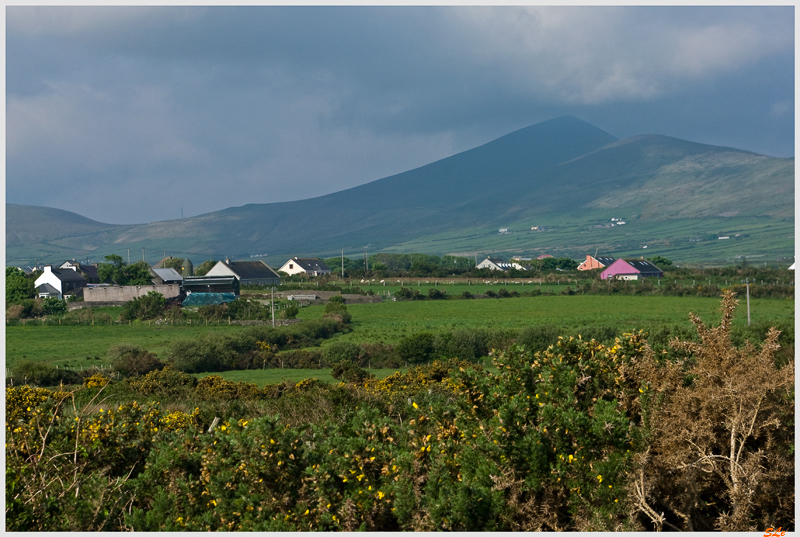 Co Kerry - Dingle Peninsula  800_IGP3071