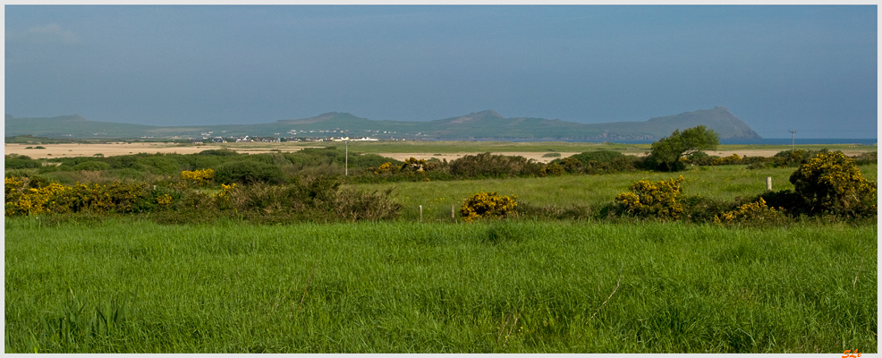 Co Kerry - Dingle Peninsula  800_IGP3072