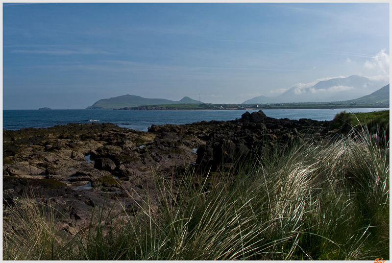 Co Kerry - Dingle Peninsula  800_IGP3077