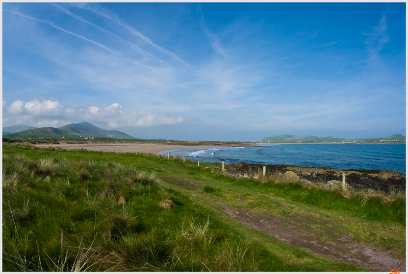 Co Kerry - Dingle Peninsula  800_IGP3081