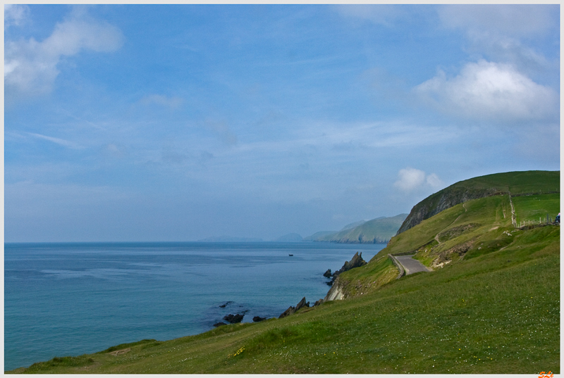 Co Kerry - Dingle Peninsula  800_IGP3089