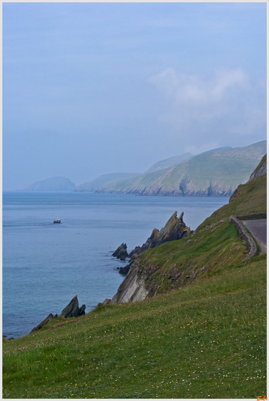 Co Kerry - Dingle Peninsula  800_IGP3094