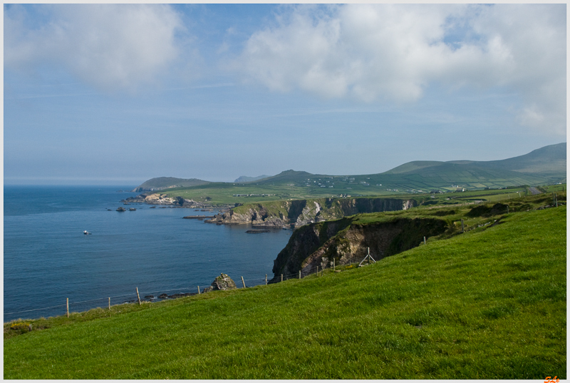 Co Kerry - Dingle Peninsula  800_IGP3105