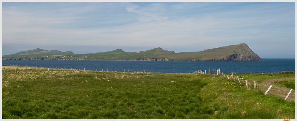 Co Kerry - Dingle Peninsula  800_IGP3113