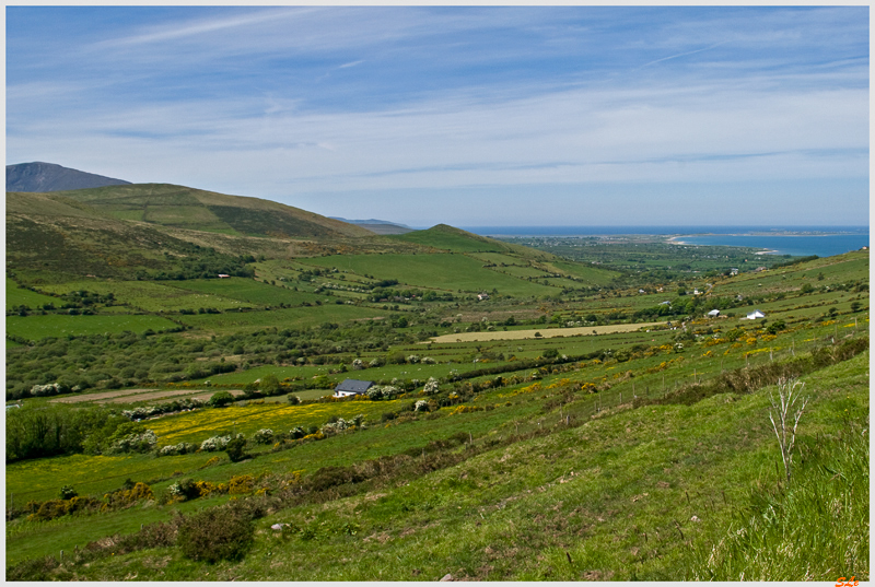 Co Kerry - Dingle Peninsula N86  800_IGP3119