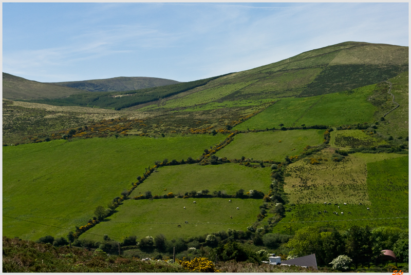 Co Kerry - Dingle Peninsula N86  800_IGP3121