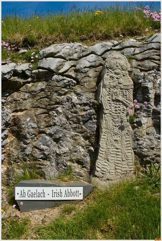 Co Kerry - Fenit  800_IGP3124