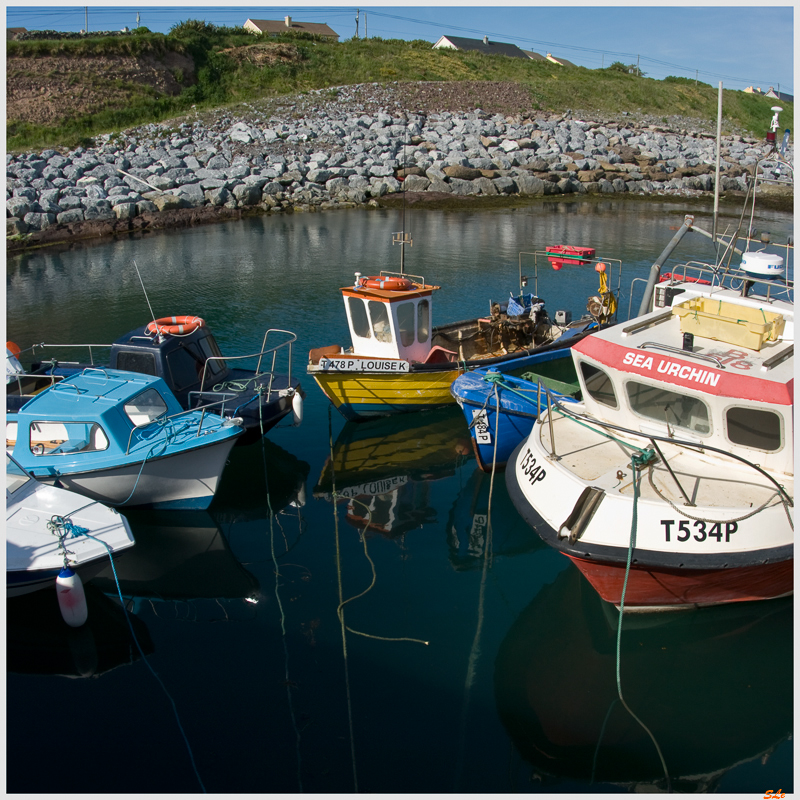 Co Kerry - Ballyheige Bay  800_IGP3141