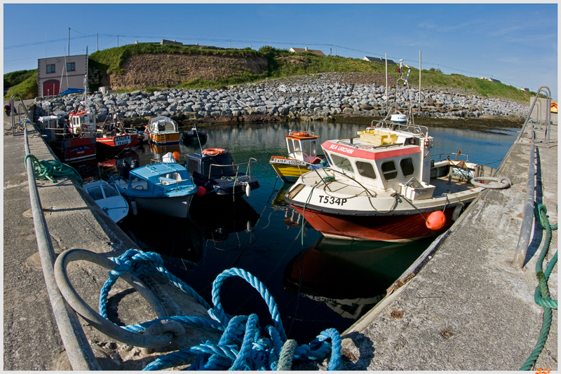 Co Kerry - Ballyheige Bay  800_IGP3144