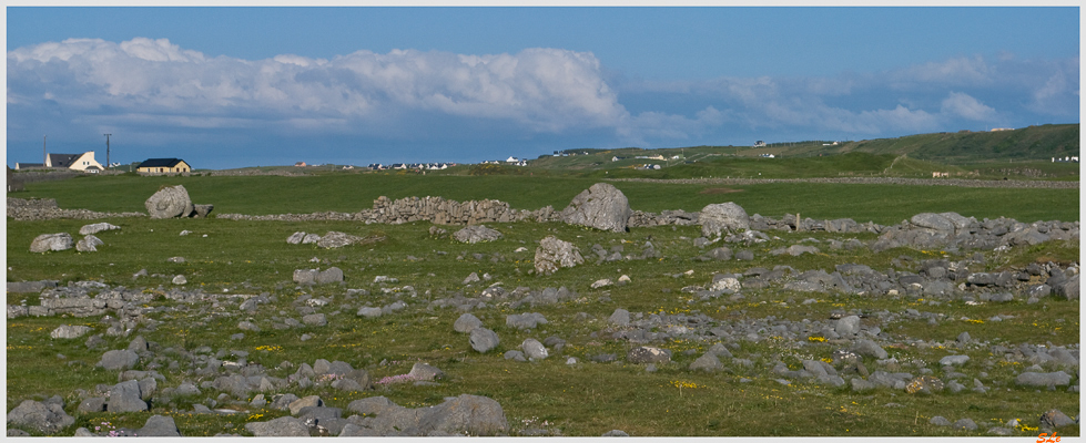 Burren - Doolin  800_IGP3380