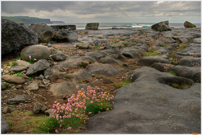 Burren - Doolin  800_IGP3502