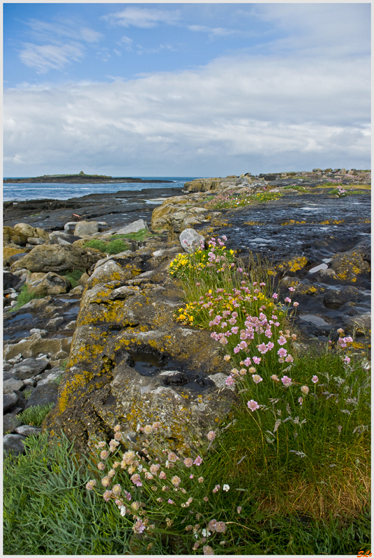 Burren - Doolin  800_IGP3507