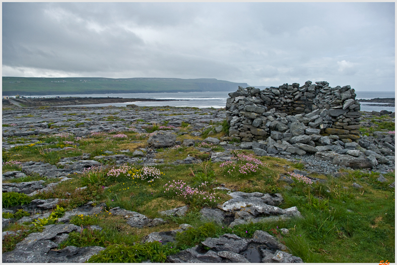 Burren - Doolin  800_IGP3535