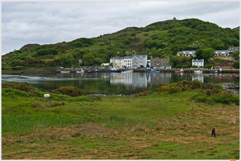 Ring of Connemara - Clifden  800_IGP3593