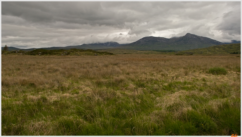 Ring of Connemara  800_IGP3623