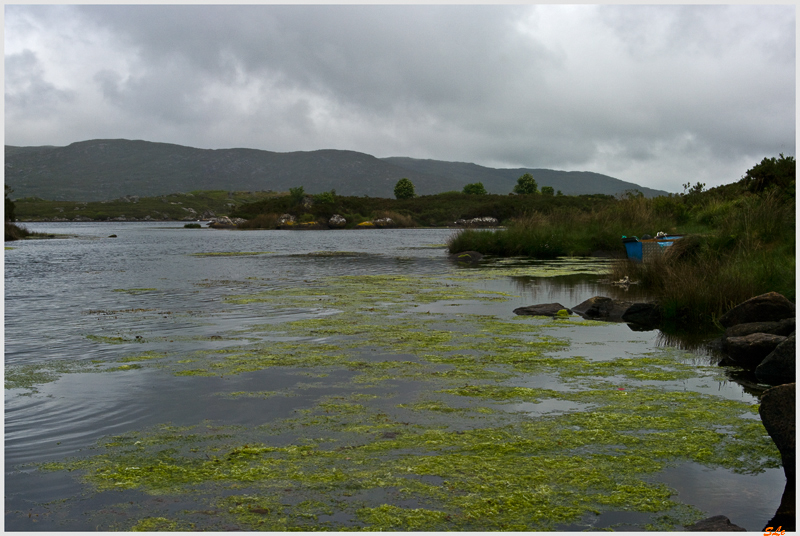 Ring of Connemara  800_IGP3645