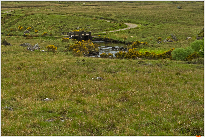 Ring of Connemara - Joyce Country  800_IGP3679