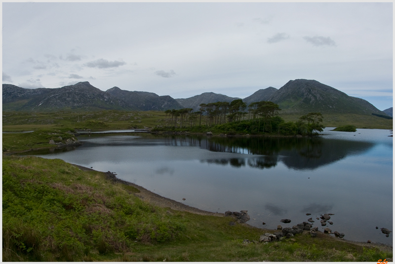 Ring of Connemara  800_IGP3848
