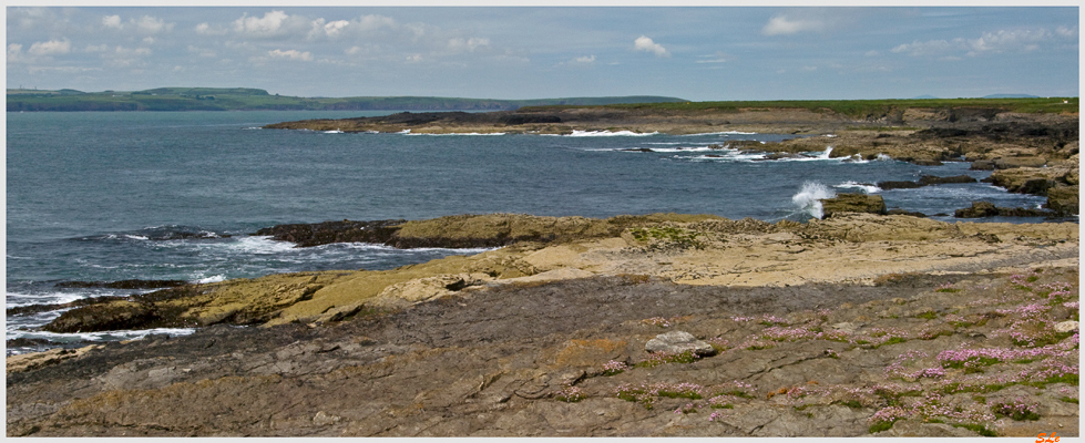 Ring of Hook - Hook Head  800_IGP3876