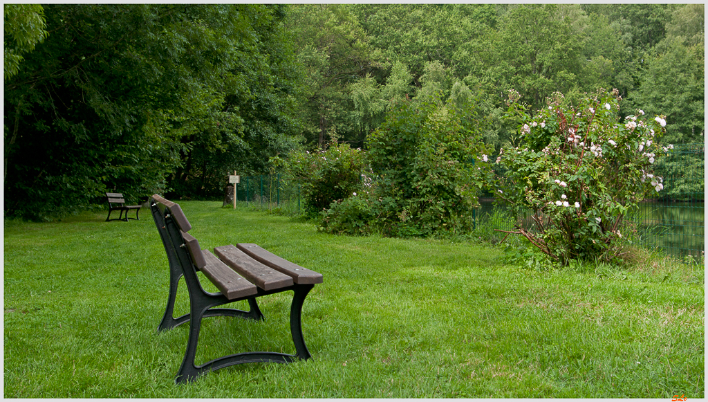 Etang de la doye ( 800_IGP5044 )