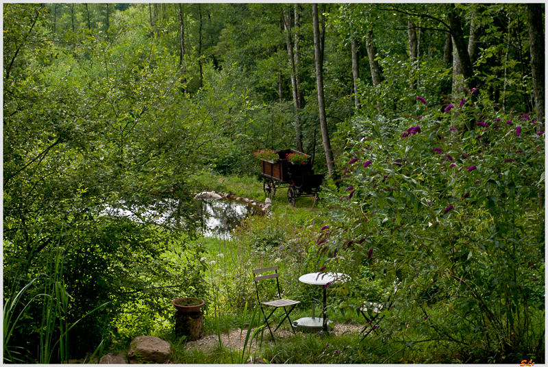 Sur le chemin de la Doye ( 800_IGP5048 )