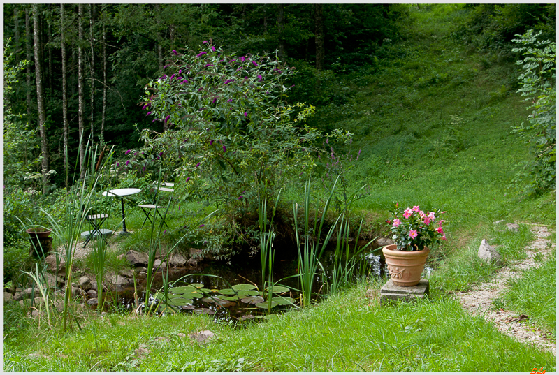 Sur le chemin de la Doye ( 800_IGP5051 )