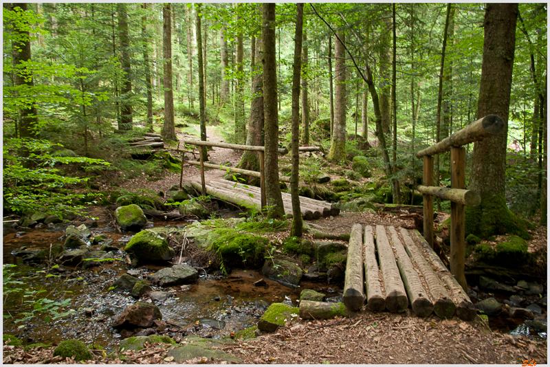 Balade Cascade du Gehard ( 800_IGP5148 )