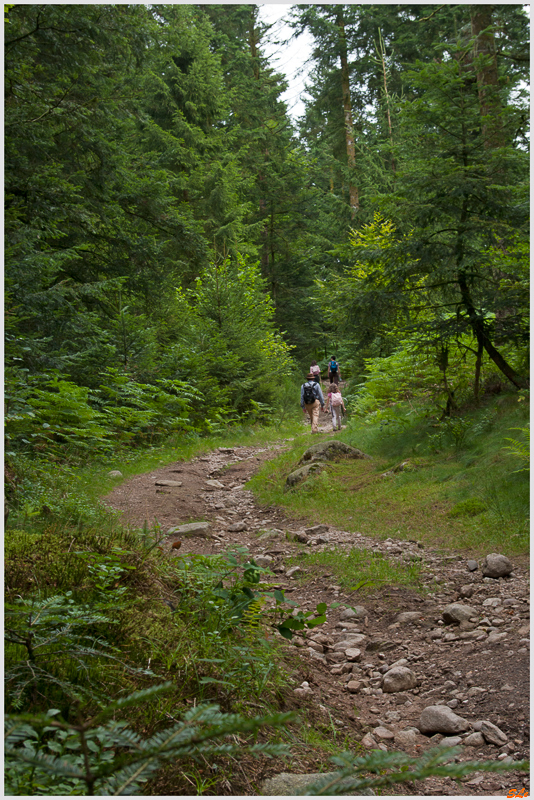 Balade Cascade du Gehard ( 800_IGP5152 )