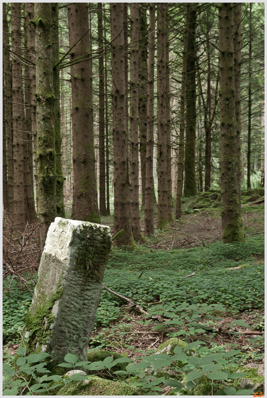 Balade Cascade du Gehard ( 800_IGP5154 )