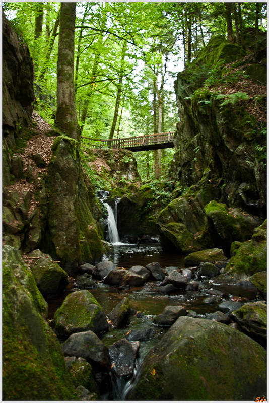 Balade Cascade du Gehard ( 800_IGP5177 )