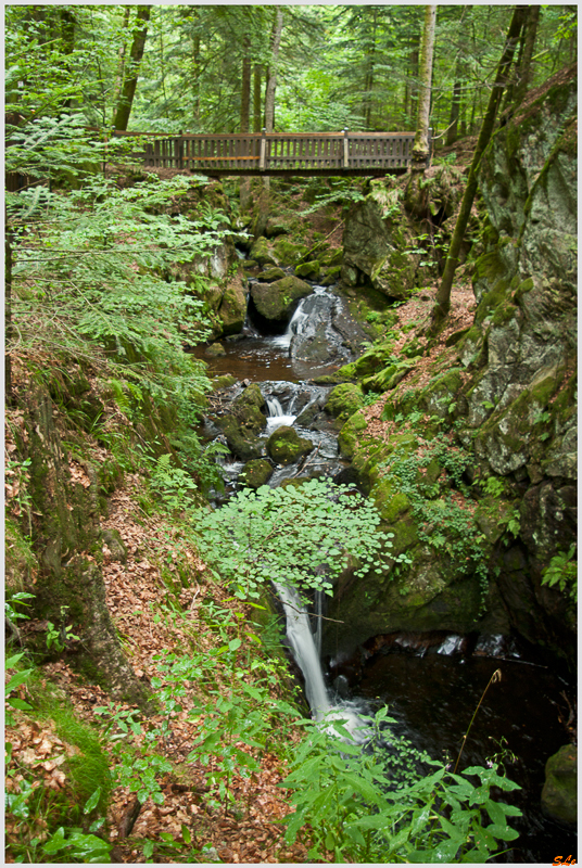 Balade Cascade du Gehard ( 800_IGP5180 )