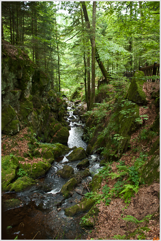Balade Cascade du Gehard ( 800_IGP5184 )