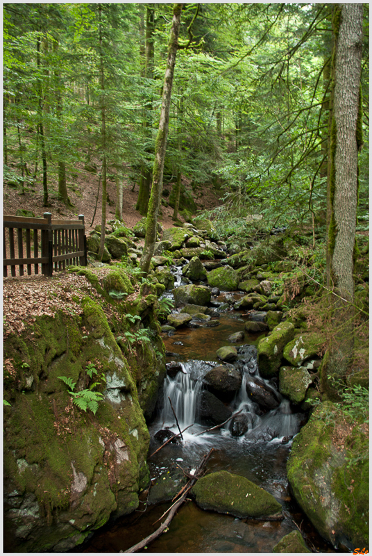 Balade Cascade du Gehard ( 800_IGP5186 )