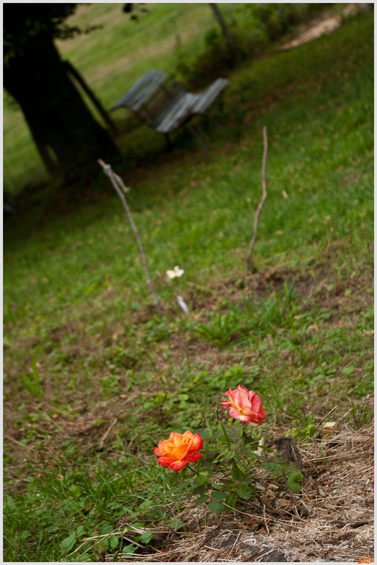  ( 800_IGP5418 )
