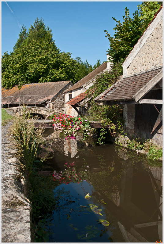 Chevreuse ( 800_IGP5464 )