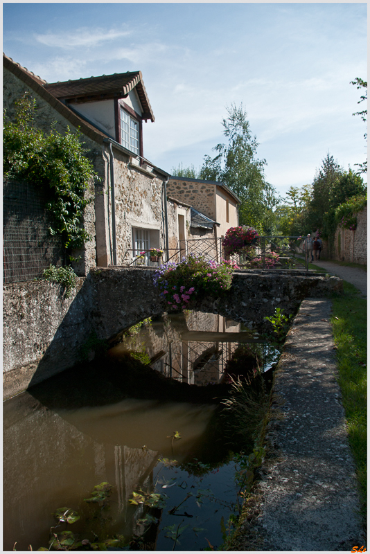 Chevreuse ( 800_IGP5468 )