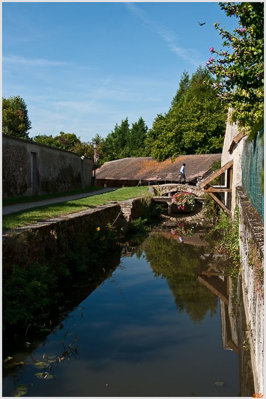 Chevreuse ( 800_IGP5469 )