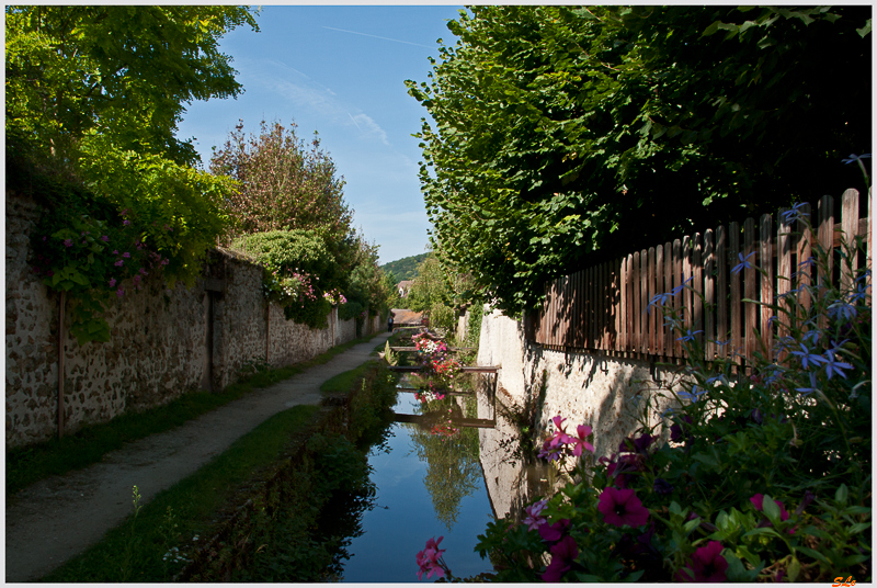 Chevreuse ( 800_IGP5472 )