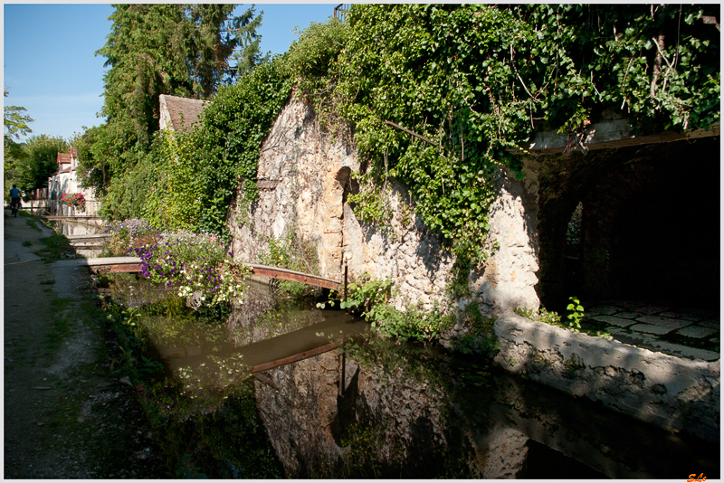 Chevreuse ( 800_IGP5479 )