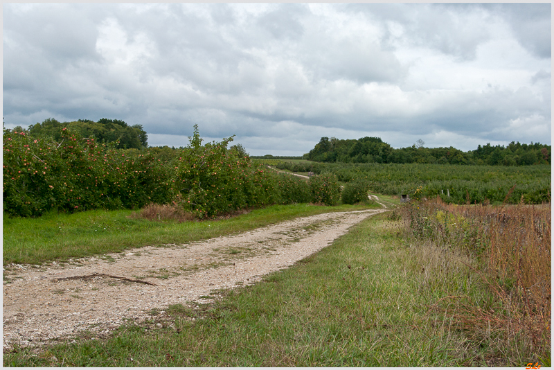 Promenade Azay-Le-Rideau ( 800_IGP5982 )