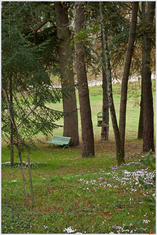 Jardin de la Chatonnière ( 800_IGP6001 )
