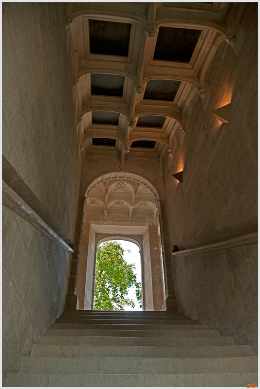 Château de Azay-Le-Rideau ( 800_IGP6037 )